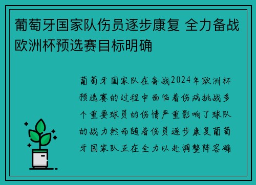 葡萄牙国家队伤员逐步康复 全力备战欧洲杯预选赛目标明确