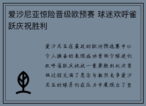 爱沙尼亚惊险晋级欧预赛 球迷欢呼雀跃庆祝胜利